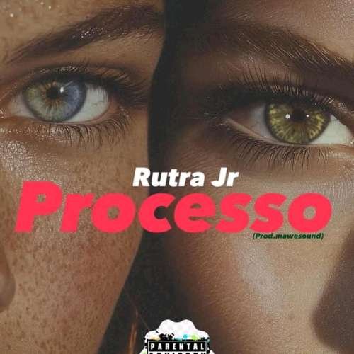  Processo